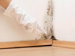 Professional Mold Inspection in Highpoint, OH